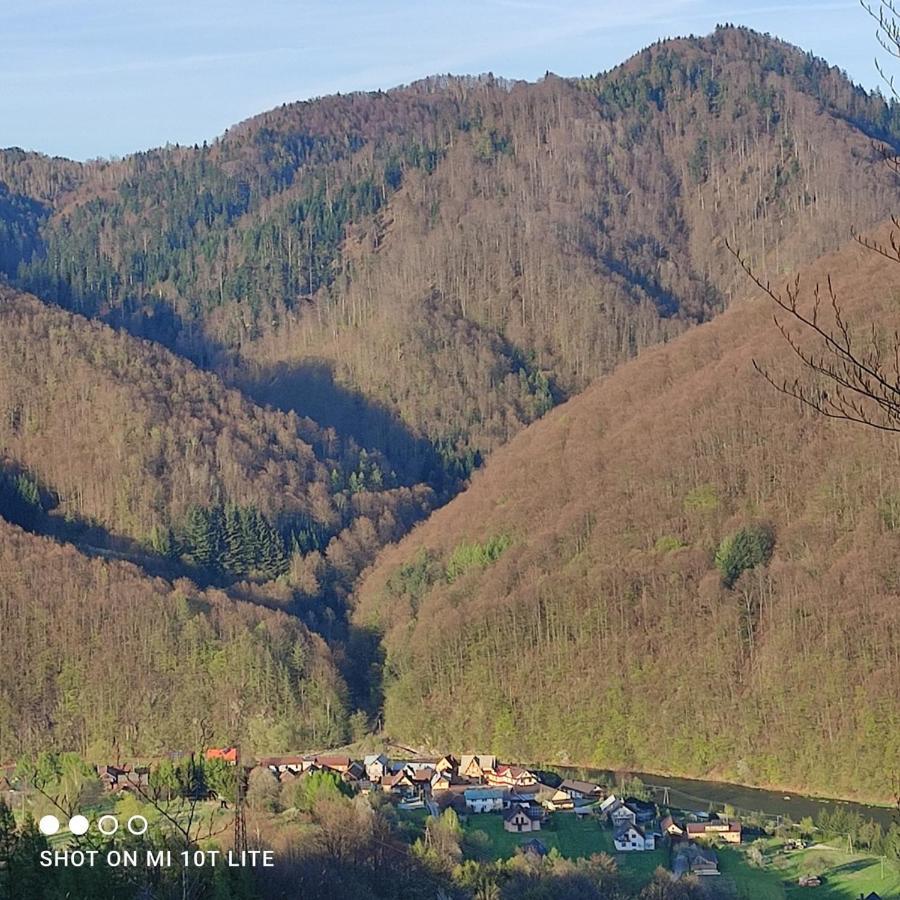 Chalet U Majki *
